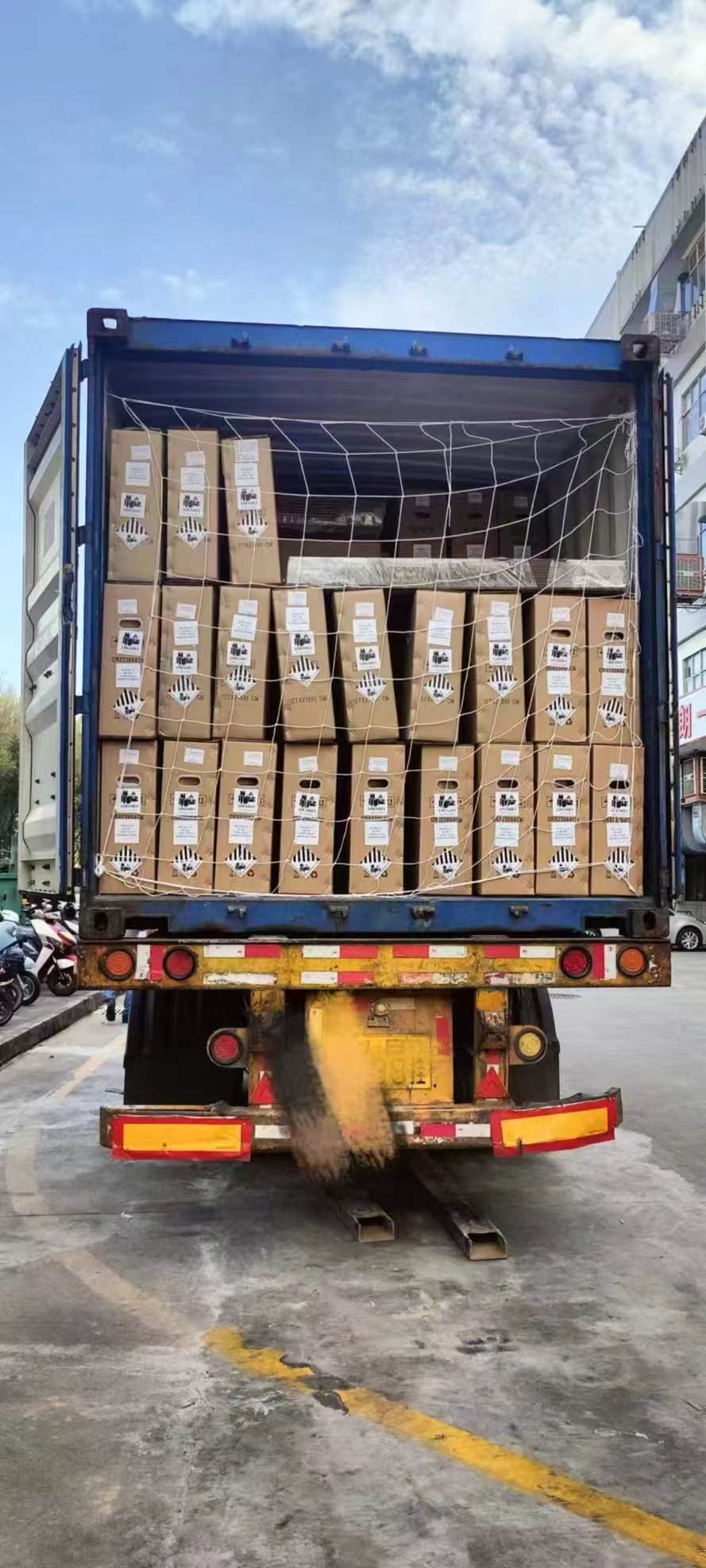 Lithium battery cartons secured inside an export container before door closing